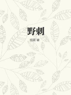 洛书新书